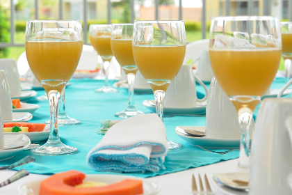 精灵探访记在线版高清下载 漫画：探索奇幻世界的精彩旅程与角色解析