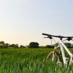 精神小伙社会摇原版视频:揭秘舞动背后的青春热情与活力 270km