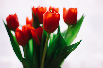 畅享八戒影视在线观看，尽览热门影视剧集与精彩内容