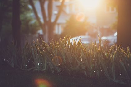 第九区的结局是什么：揭示外星人与人类的命运交织与未来走向